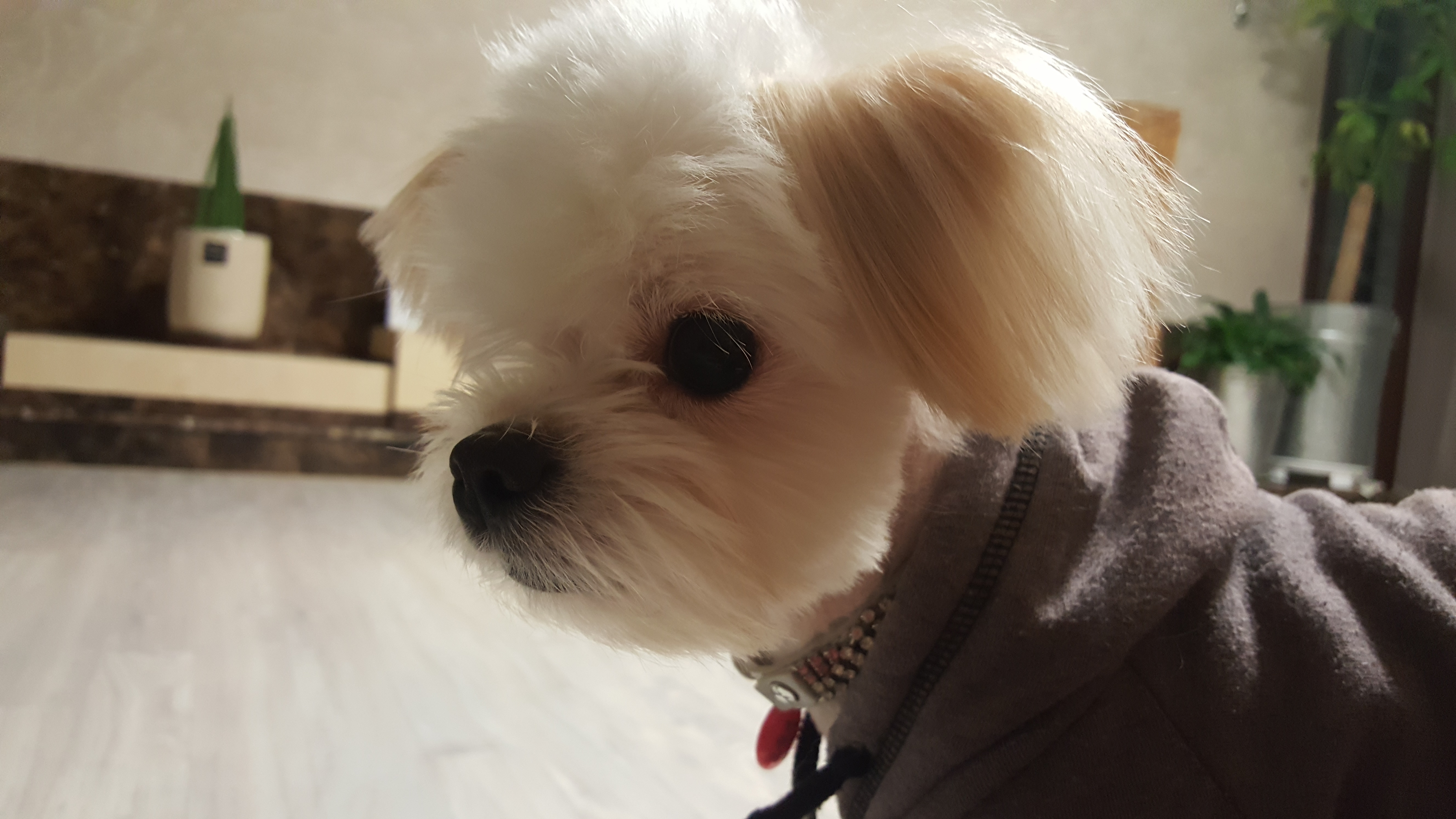 하람이는 잘 적응하고 있어요~~~