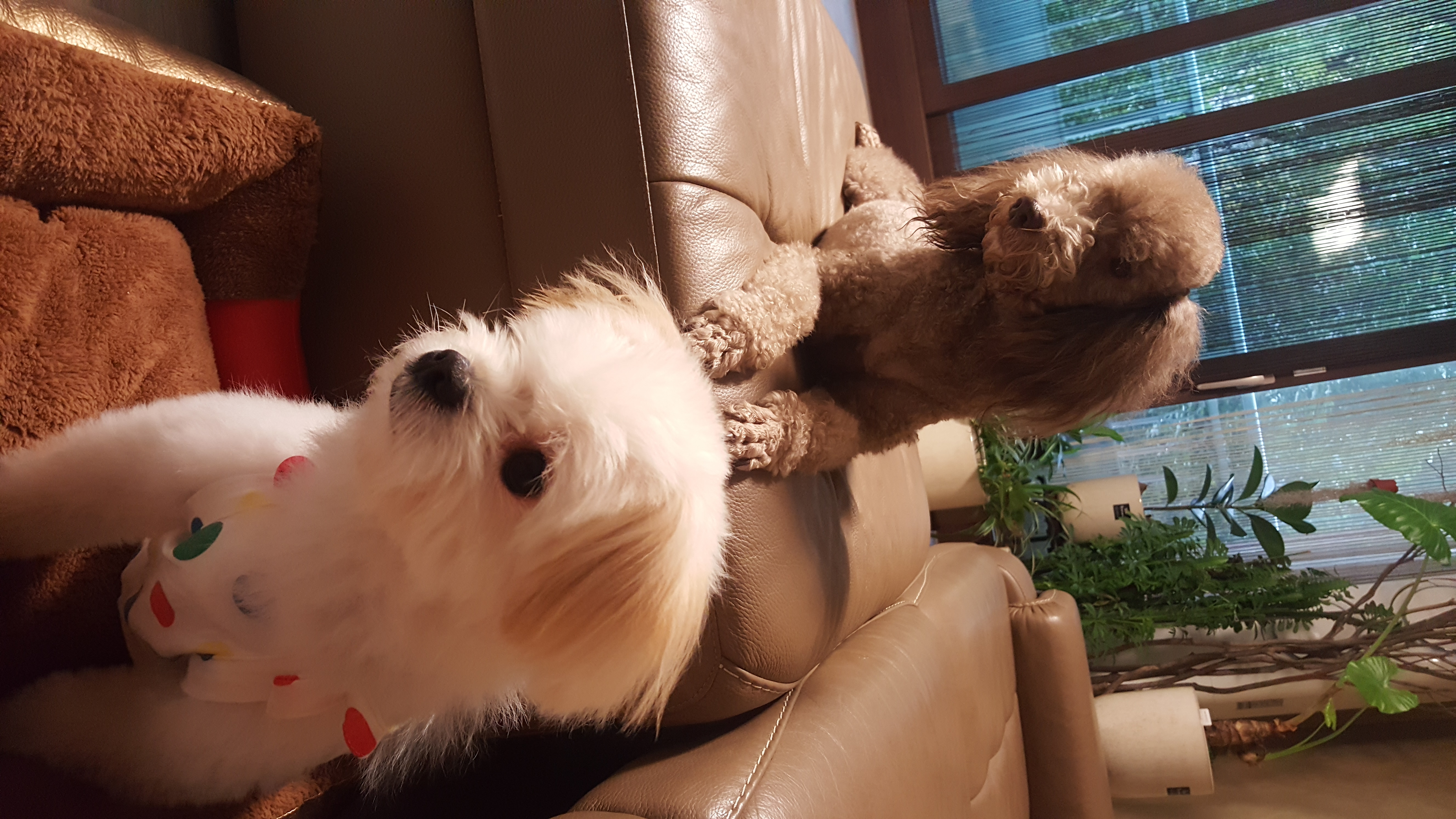 하람이는 잘 적응하고 있어요~~~