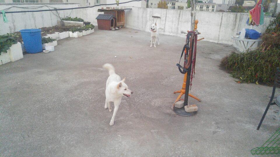 폴리와의 한달동거..