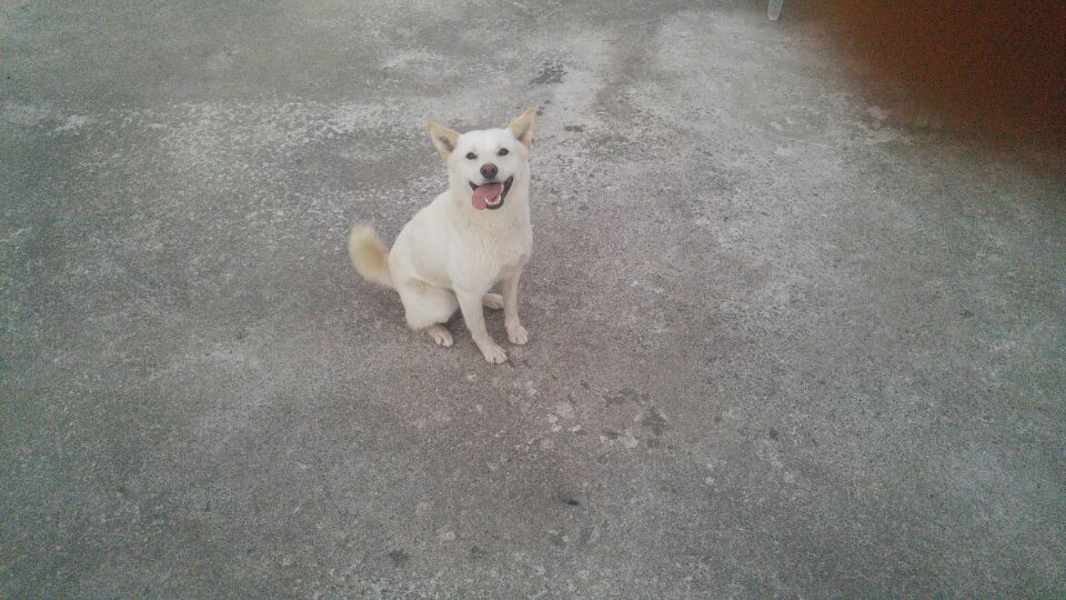 폴리와의 한달동거..