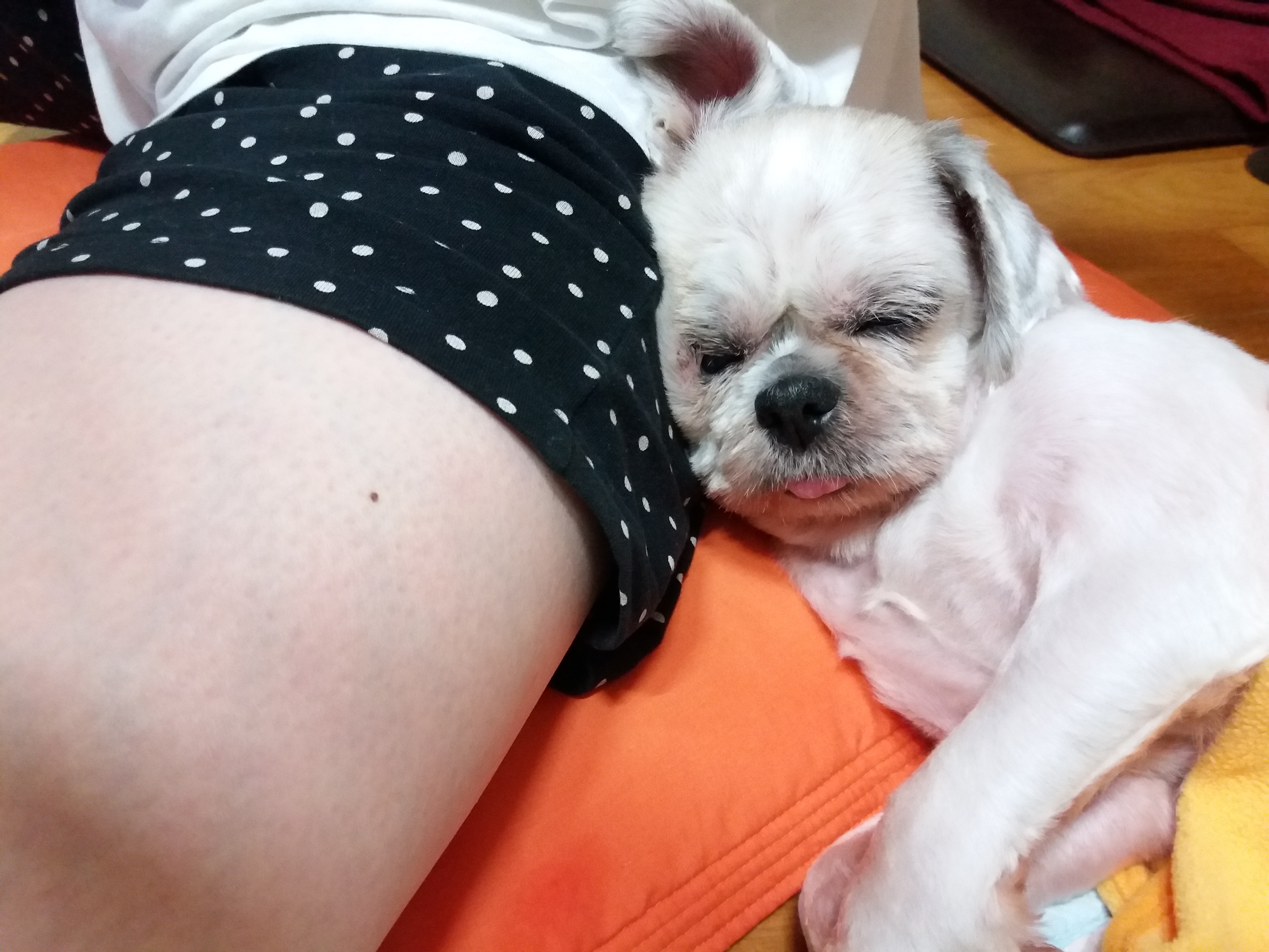 콩's 소식입니다~