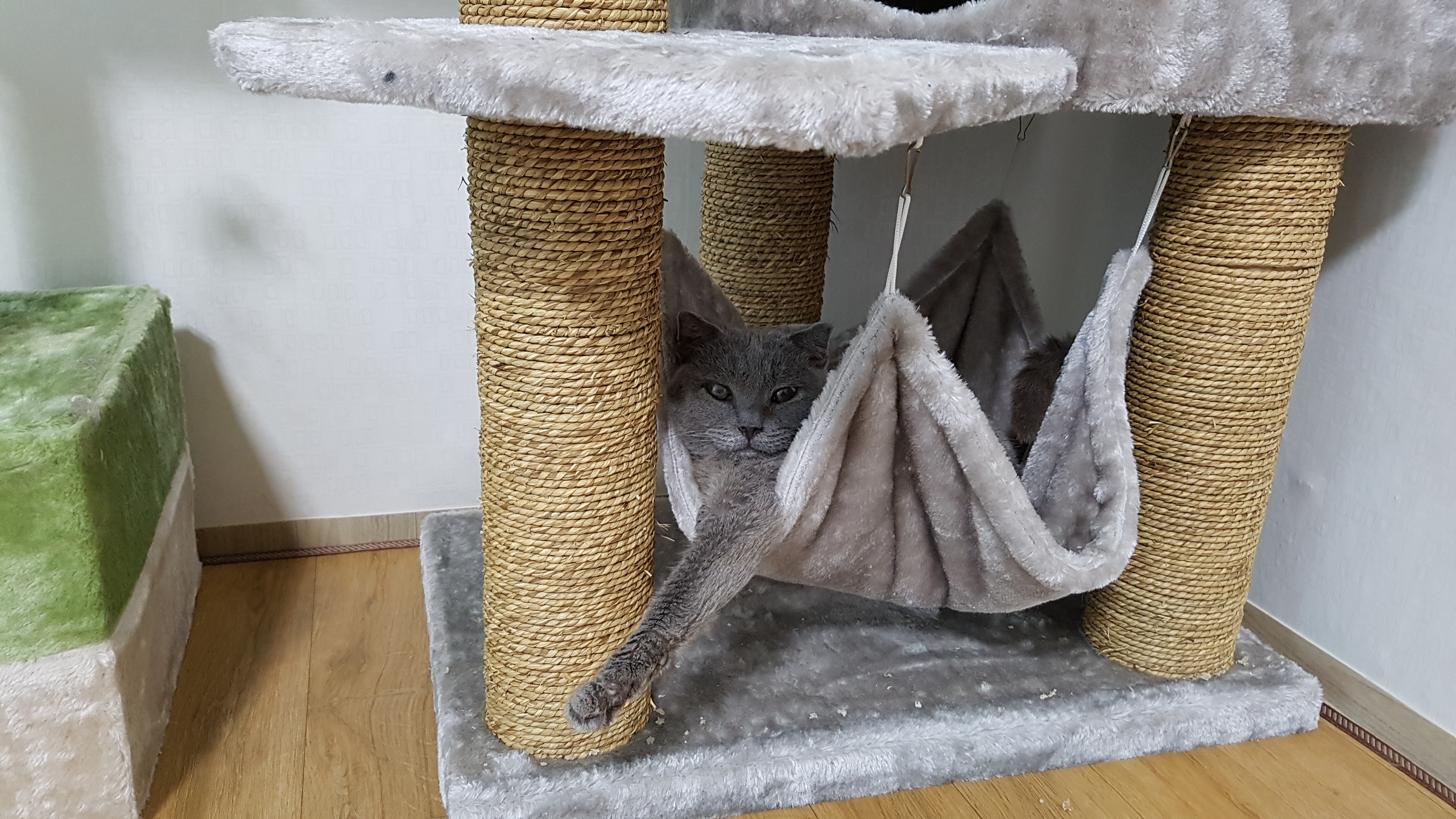 동동이(겨울이) 이야기입니다