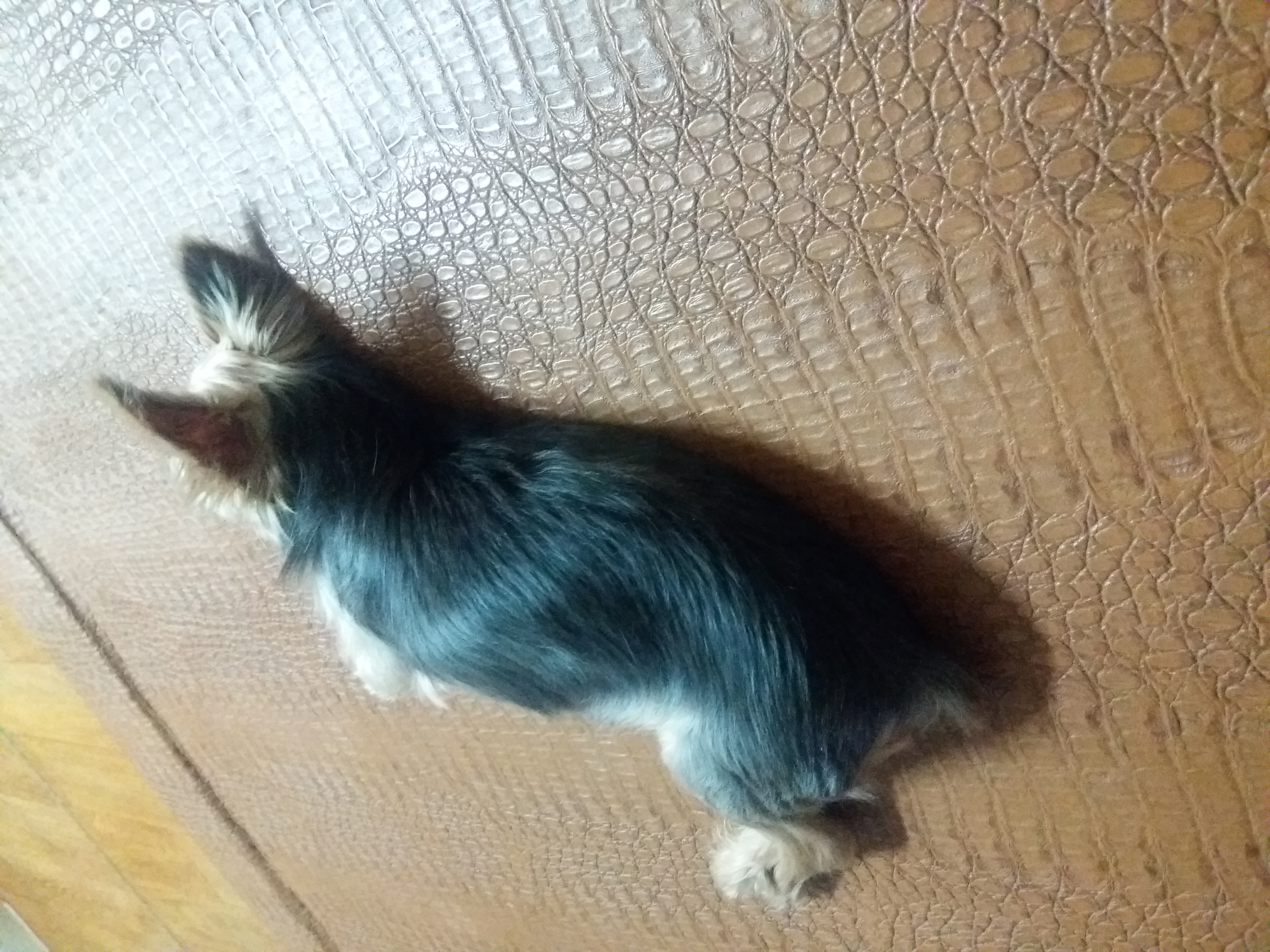 겨울잠 자는 또로 ^^