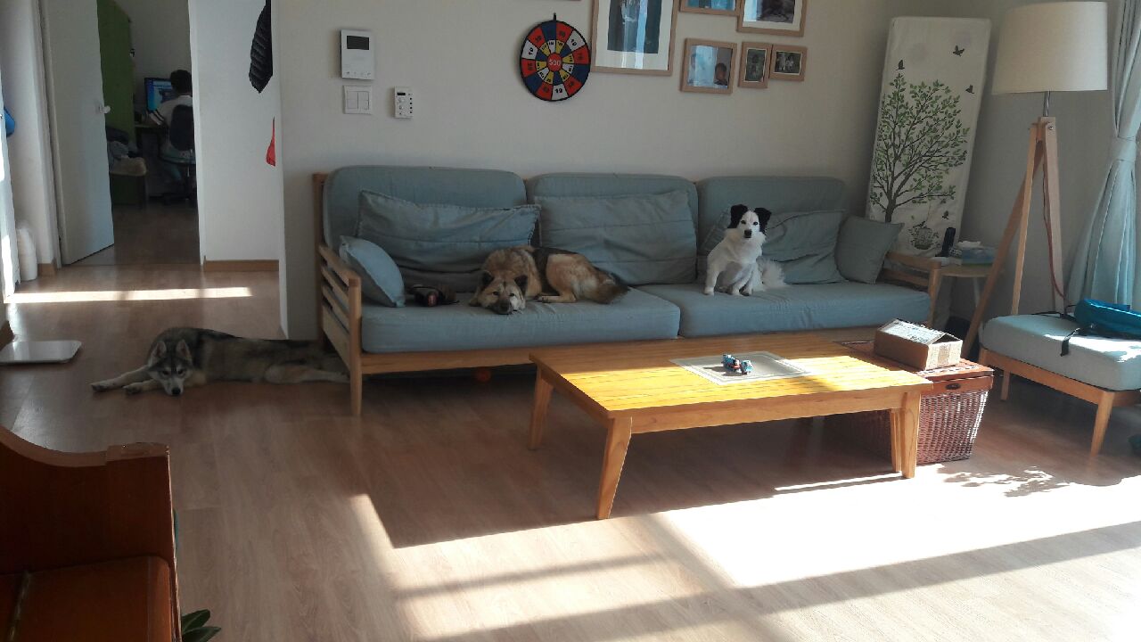 12월 빨랫감을 들고온  우리 슈키