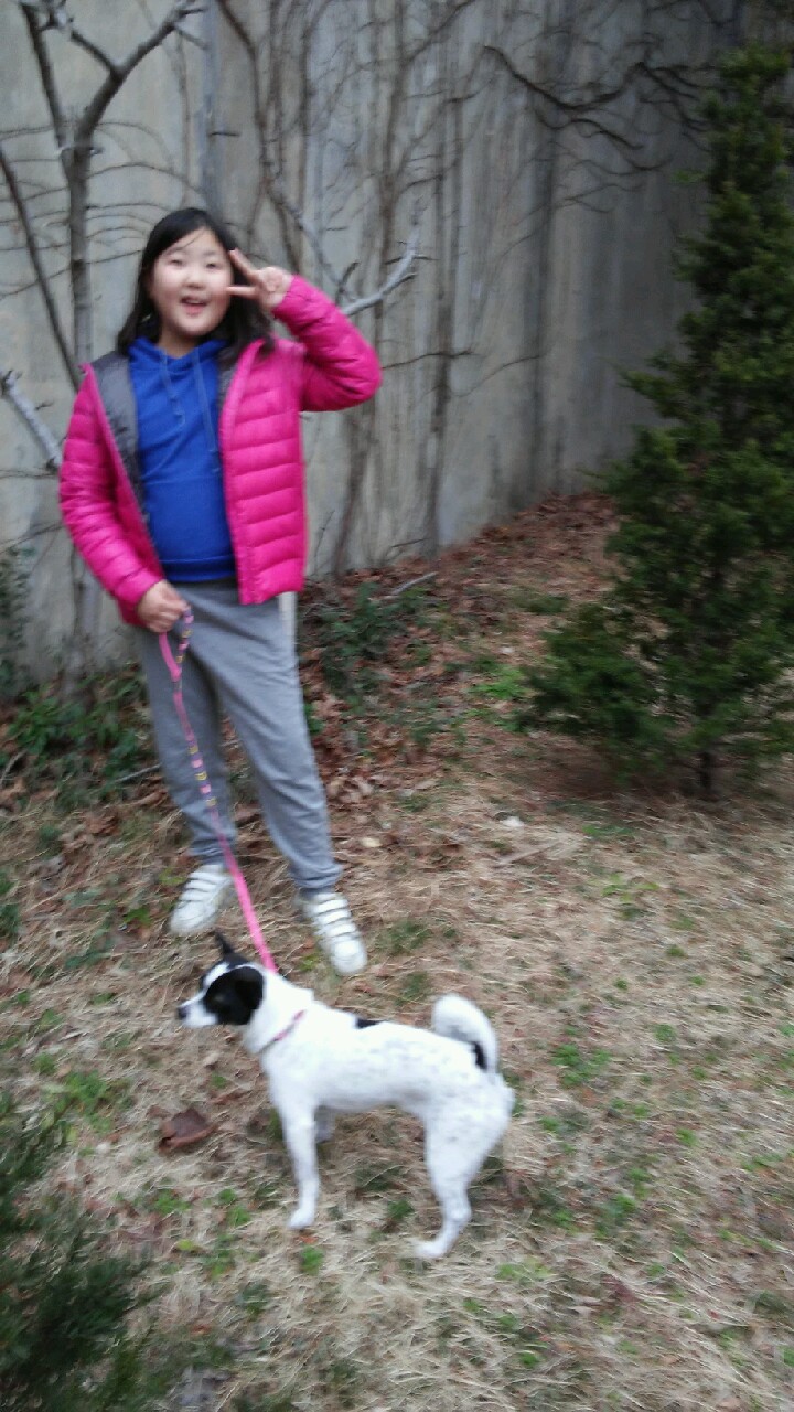 루키의 두번째 소식