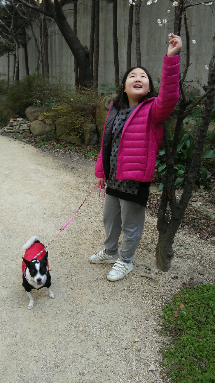 루키의 두번째 소식