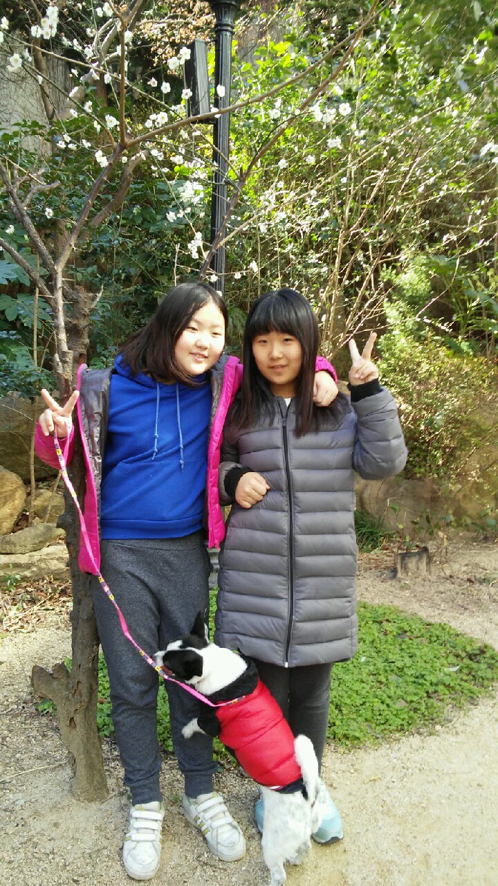 루키의 두번째 소식