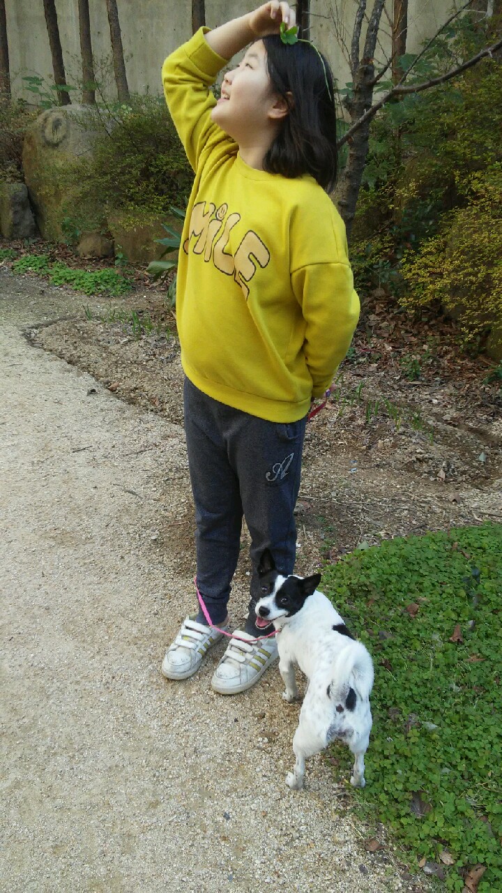 루키의 두번째 소식