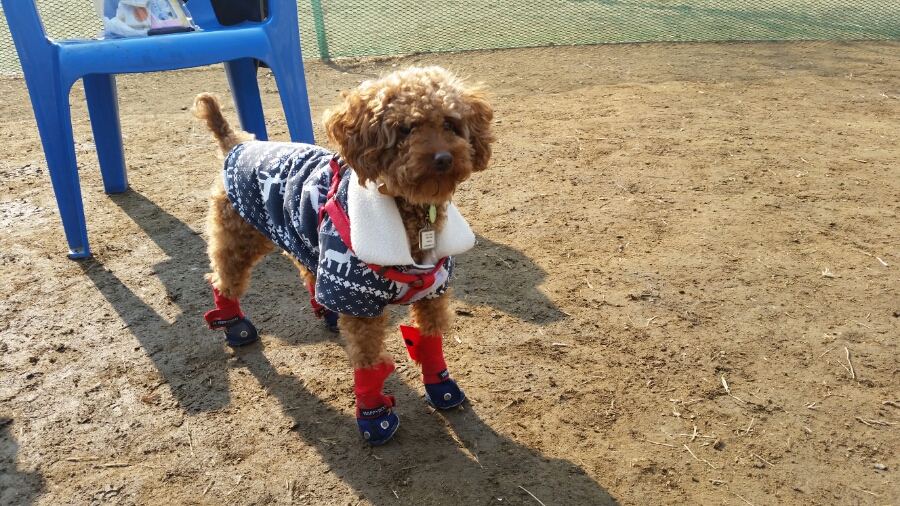 쫑이 잘 지내고 있어요~^^