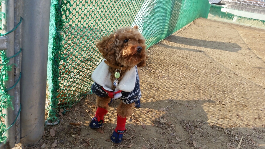 쫑이 잘 지내고 있어요~^^