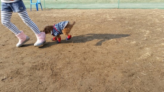 쫑이 잘 지내고 있어요~^^