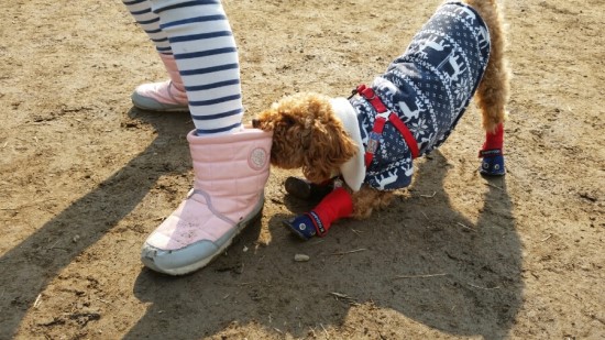 쫑이 잘 지내고 있어요~^^