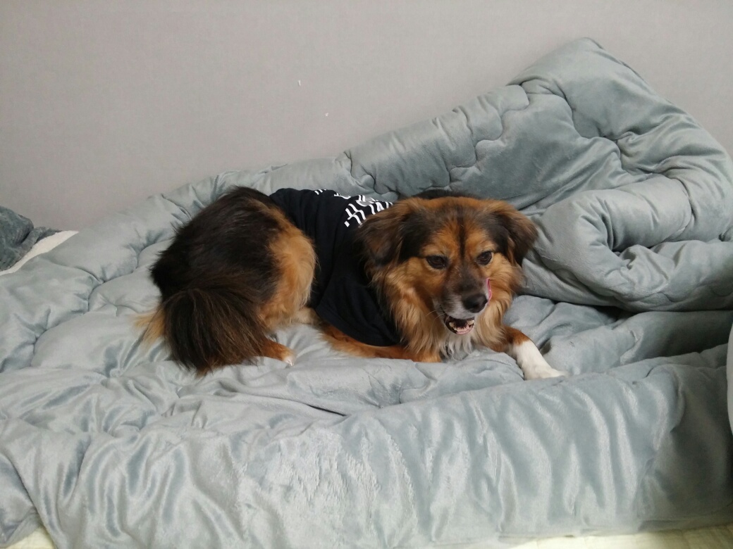 정왕이의 런웨이 ^^