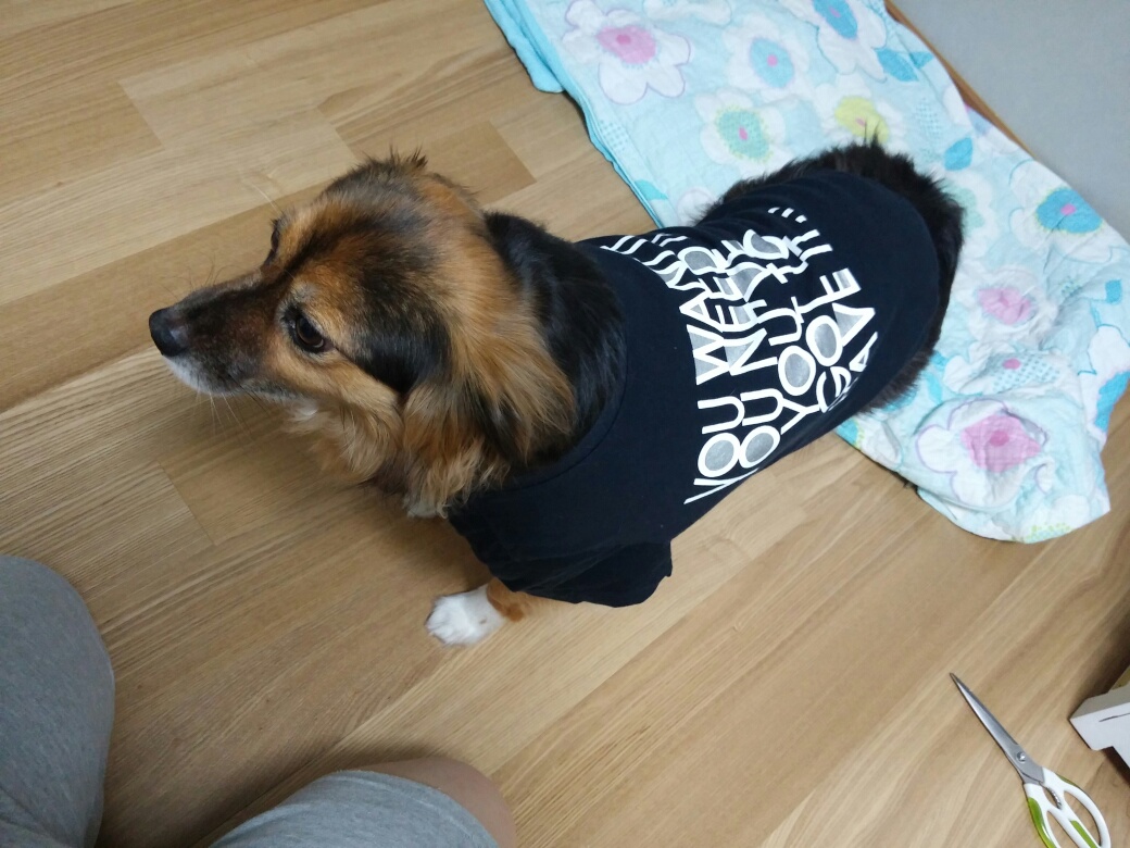 정왕이의 런웨이 ^^