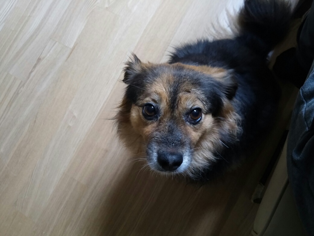 정왕이의 런웨이 ^^