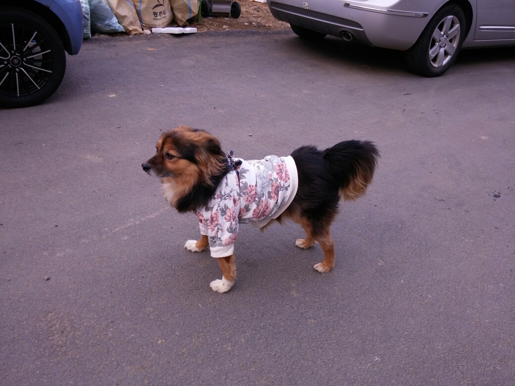 정왕이의 런웨이 ^^