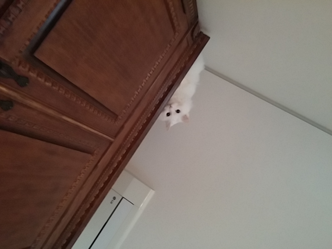 미노 둘째날입니다.