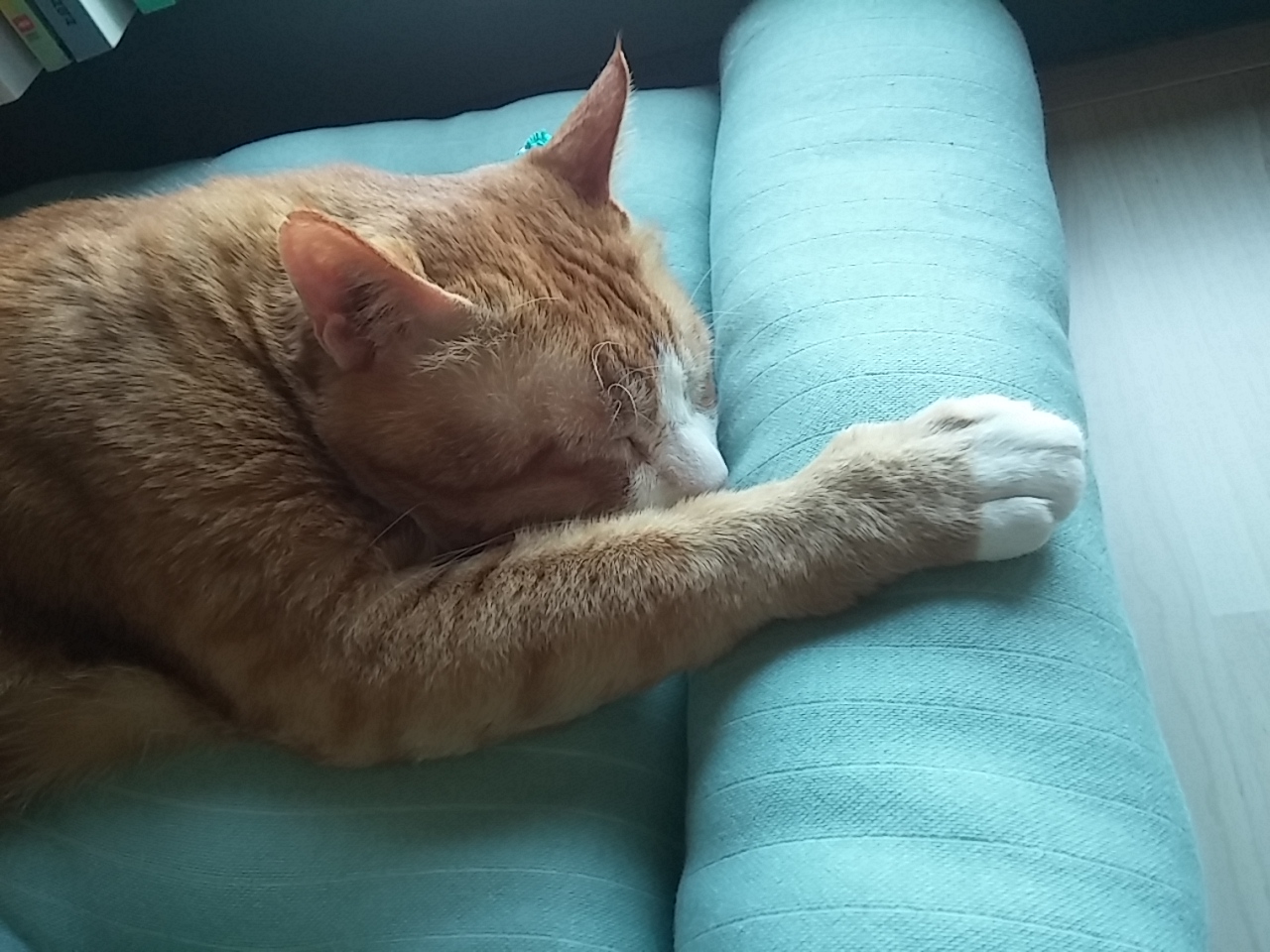 미노 둘째날입니다.