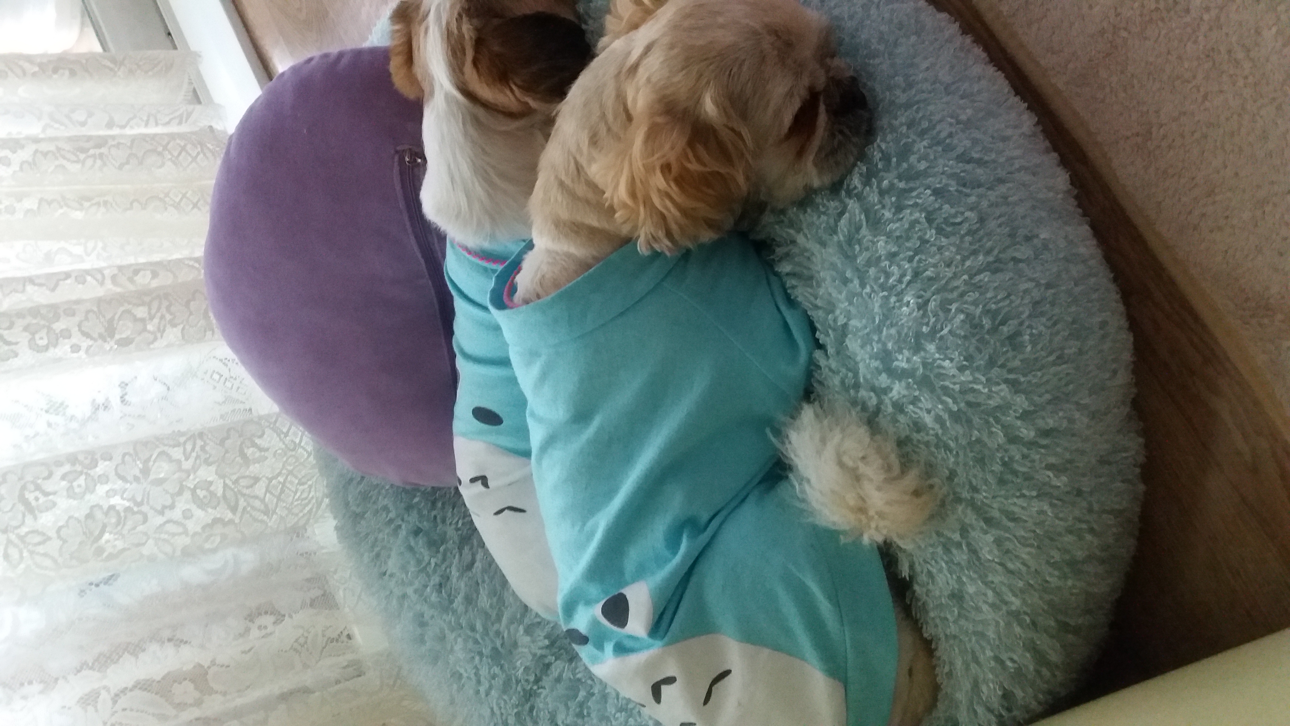 코미후기올립니다^^