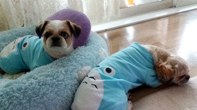 코미후기올립니다^^