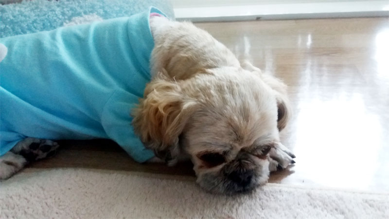 코미후기올립니다^^