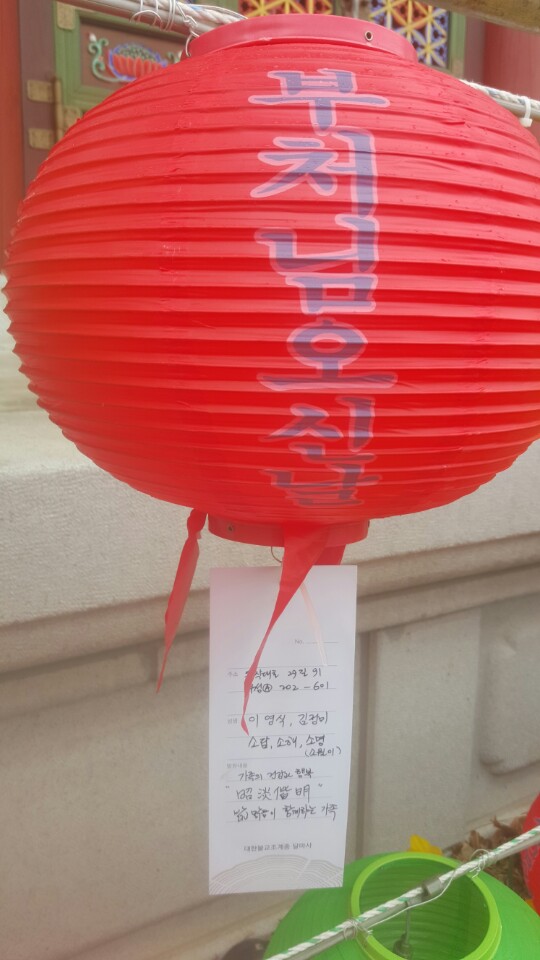 비트(소월이)가 100일이 되었습니다.