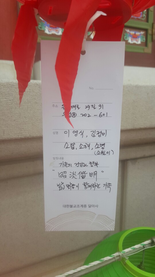 비트(소월이)가 100일이 되었습니다.