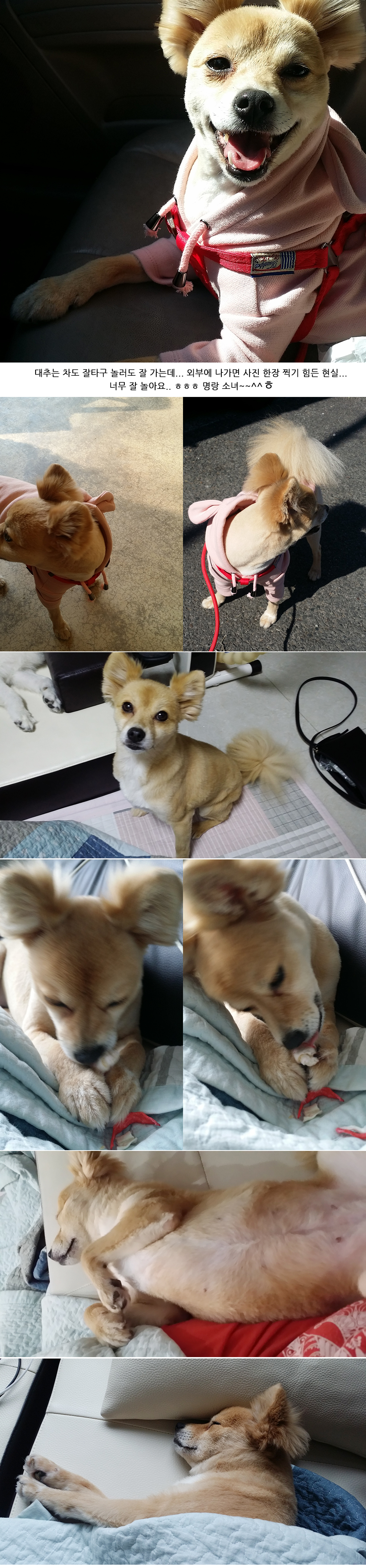 딸래미 '대추' 입니다~~^^*