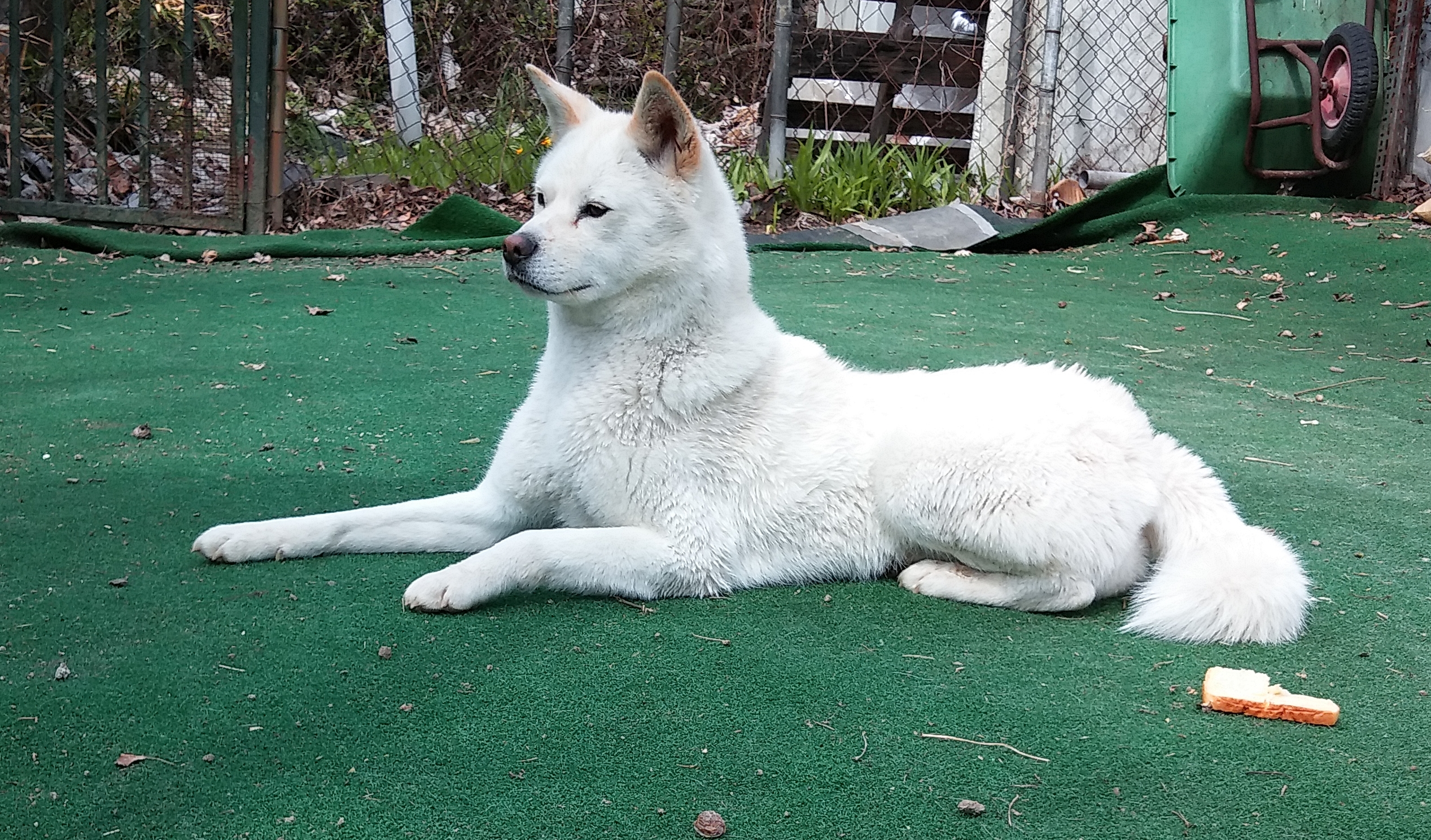 은비  다시 공주포스로....