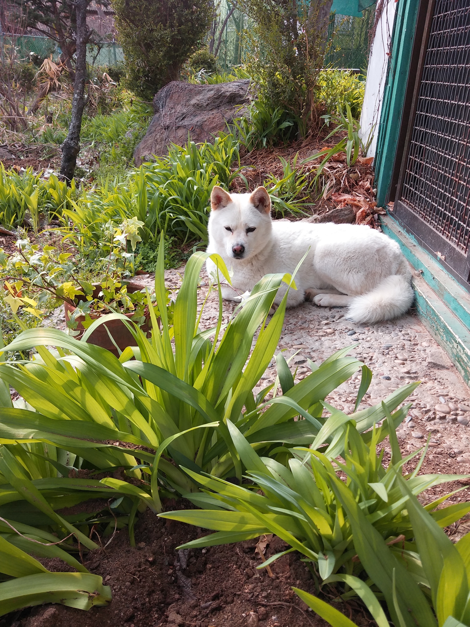 은비  다시 공주포스로....
