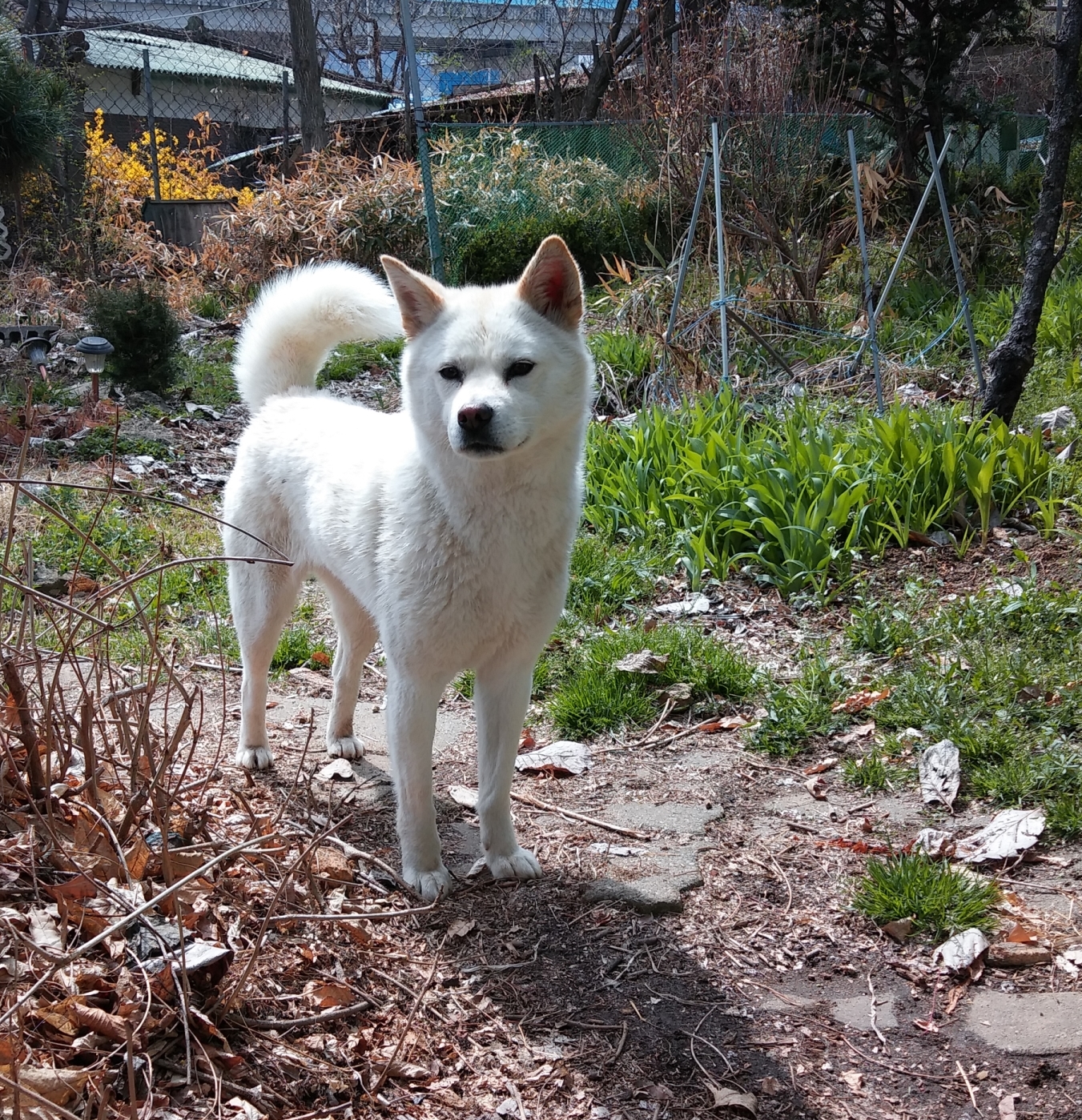 은비  다시 공주포스로....