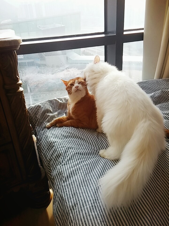 부산 미노 보름째 입니다^^