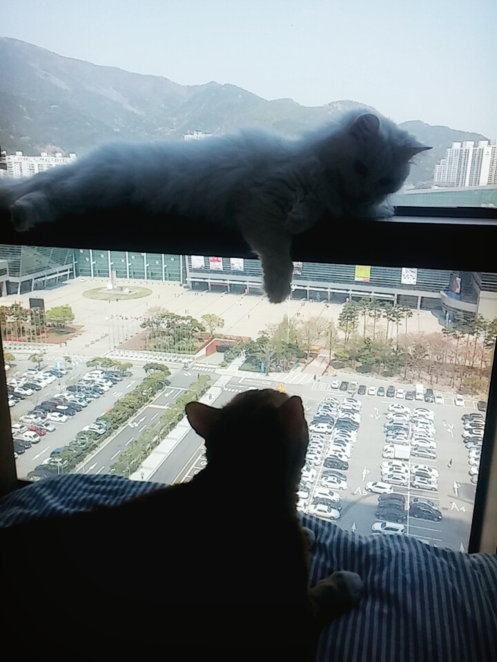 부산 미노 보름째 입니다^^