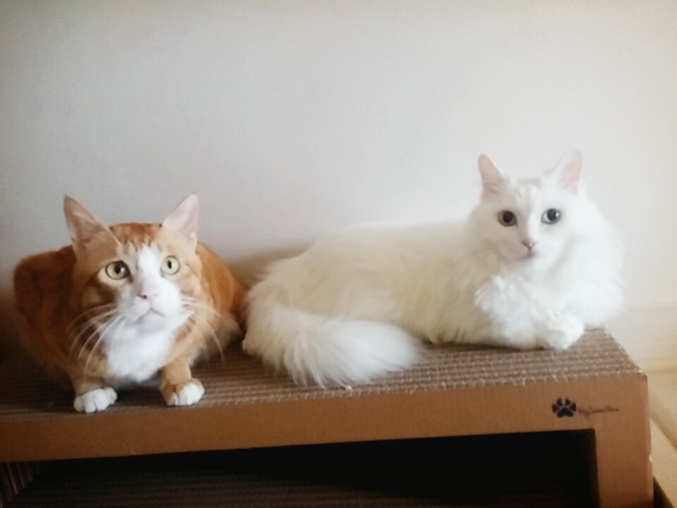 부산 미노 보름째 입니다^^