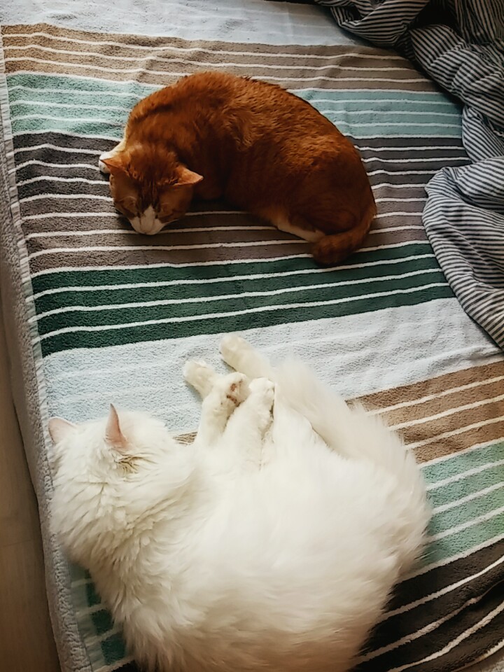 부산 미노 보름째 입니다^^