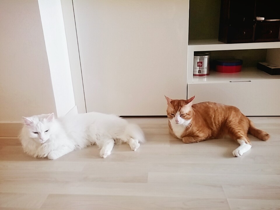 부산 미노 보름째 입니다^^