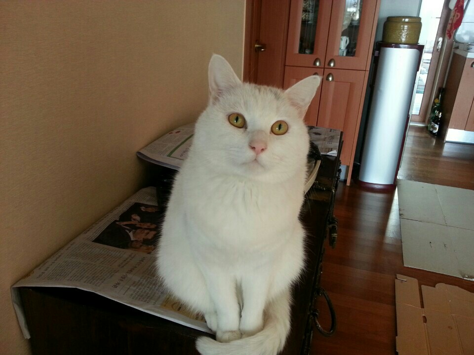 뽈이 나들이 다녀왔어요