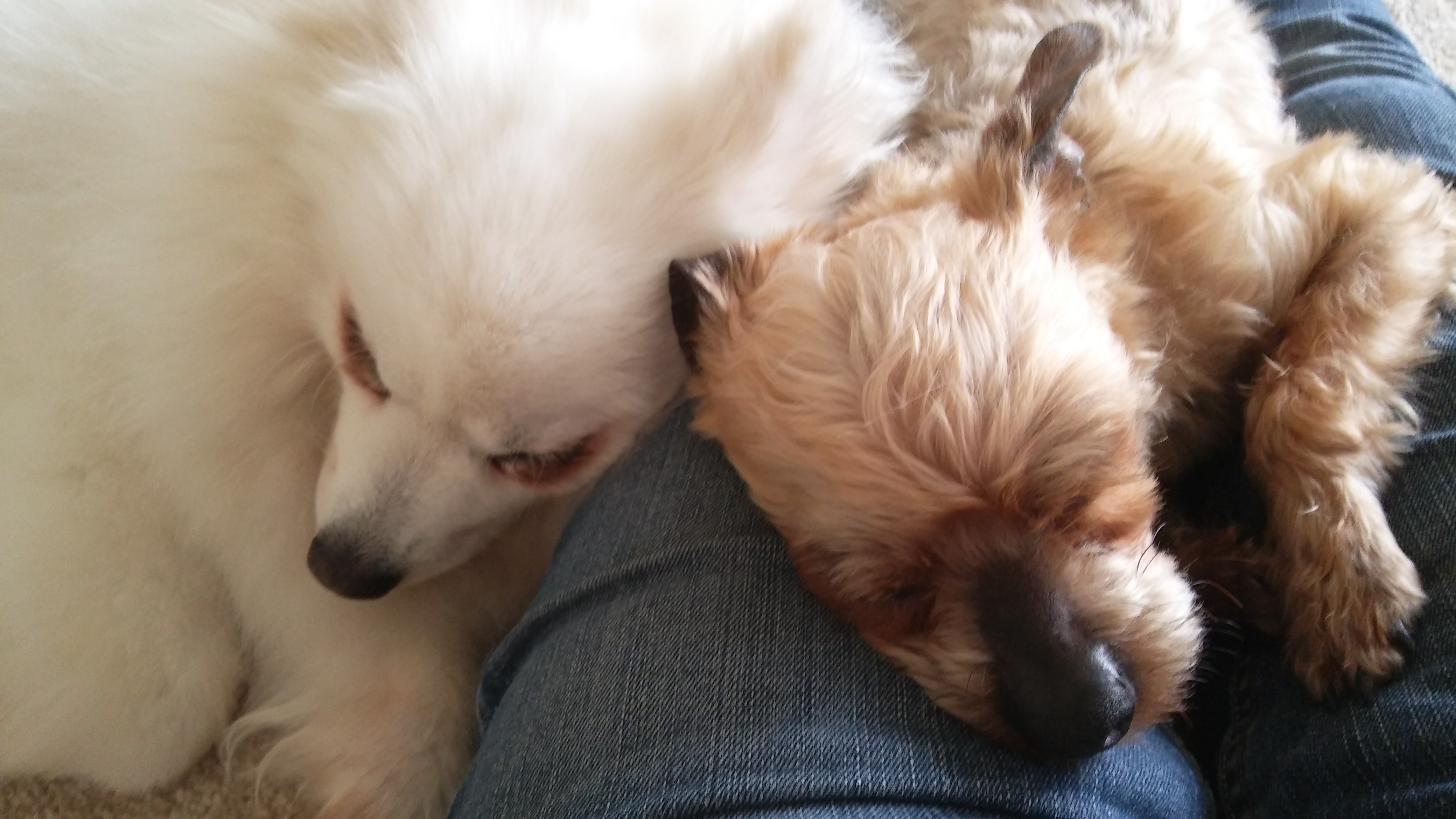 사과와 카라멜의 두번째 이야기