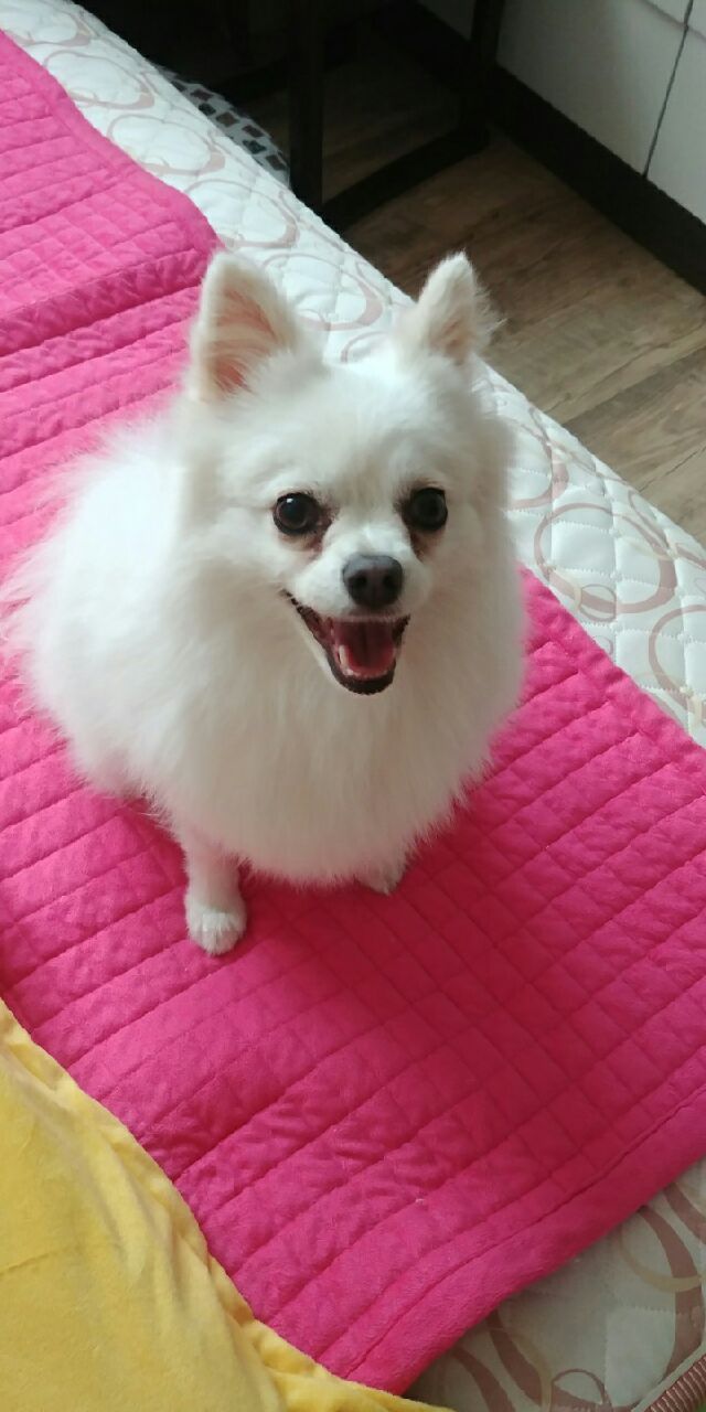 세모 잘 지내고 있습니다~