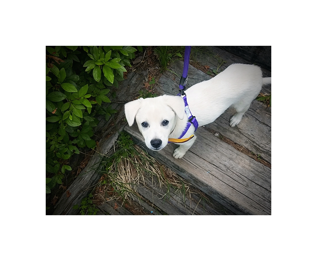 연지(지금은 뭉치) 잘 크고 있습니다.