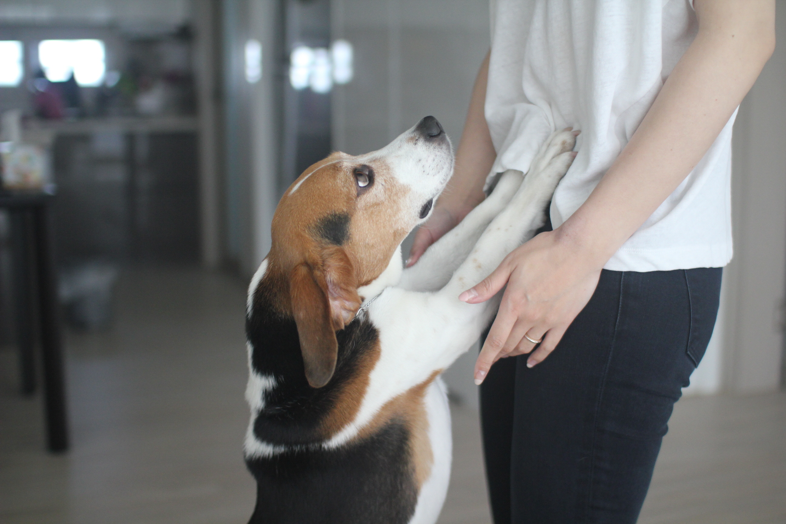 우버 두번째 후기에요~~