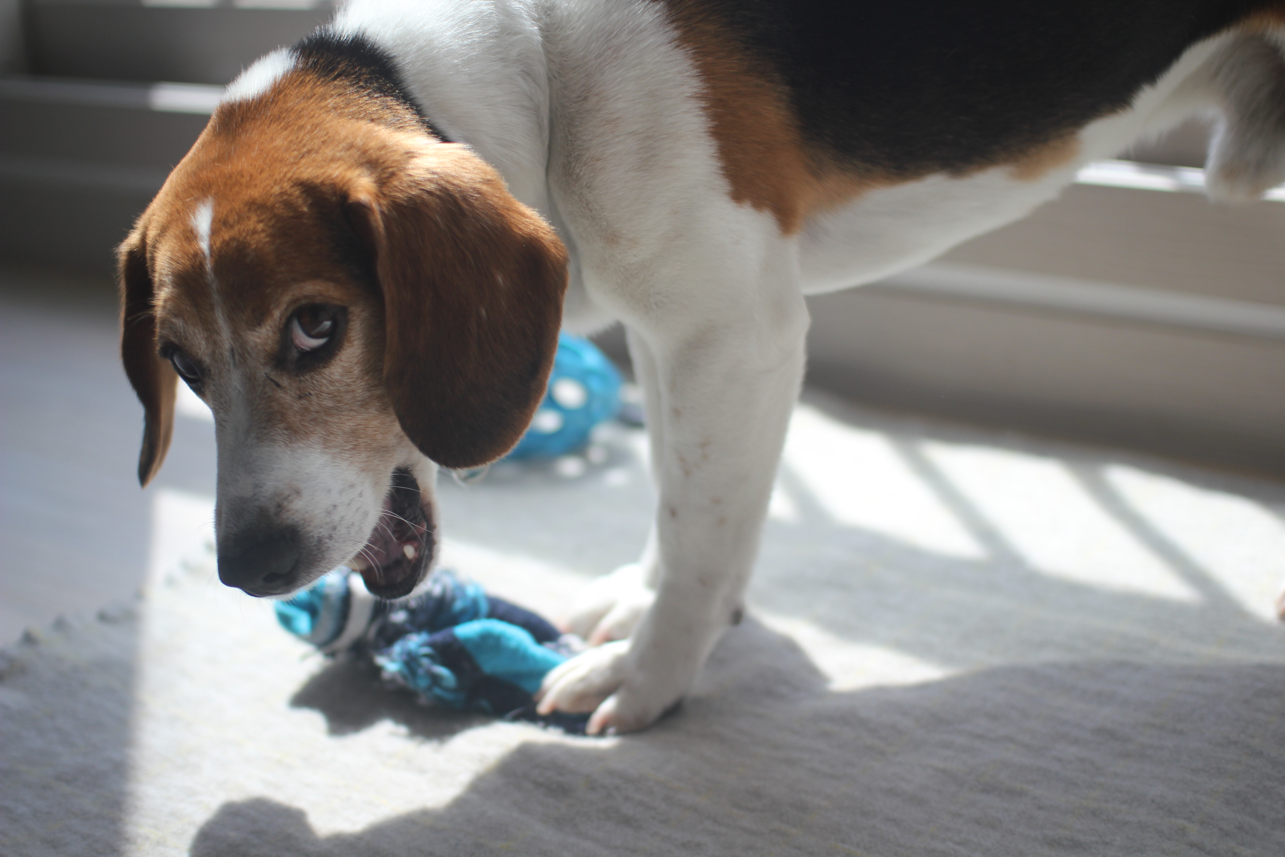 우버 두번째 후기에요~~