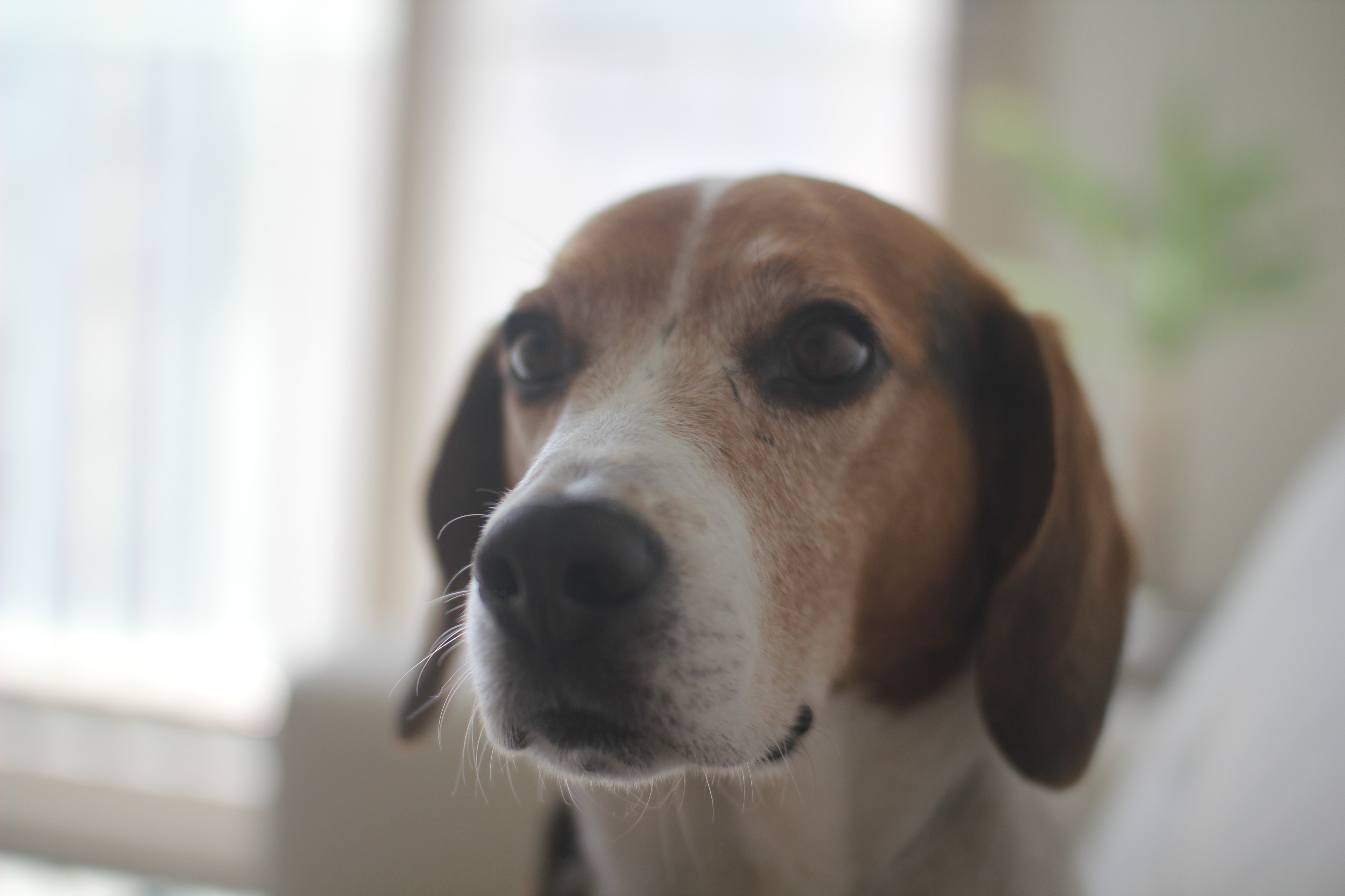 우버 두번째 후기에요~~