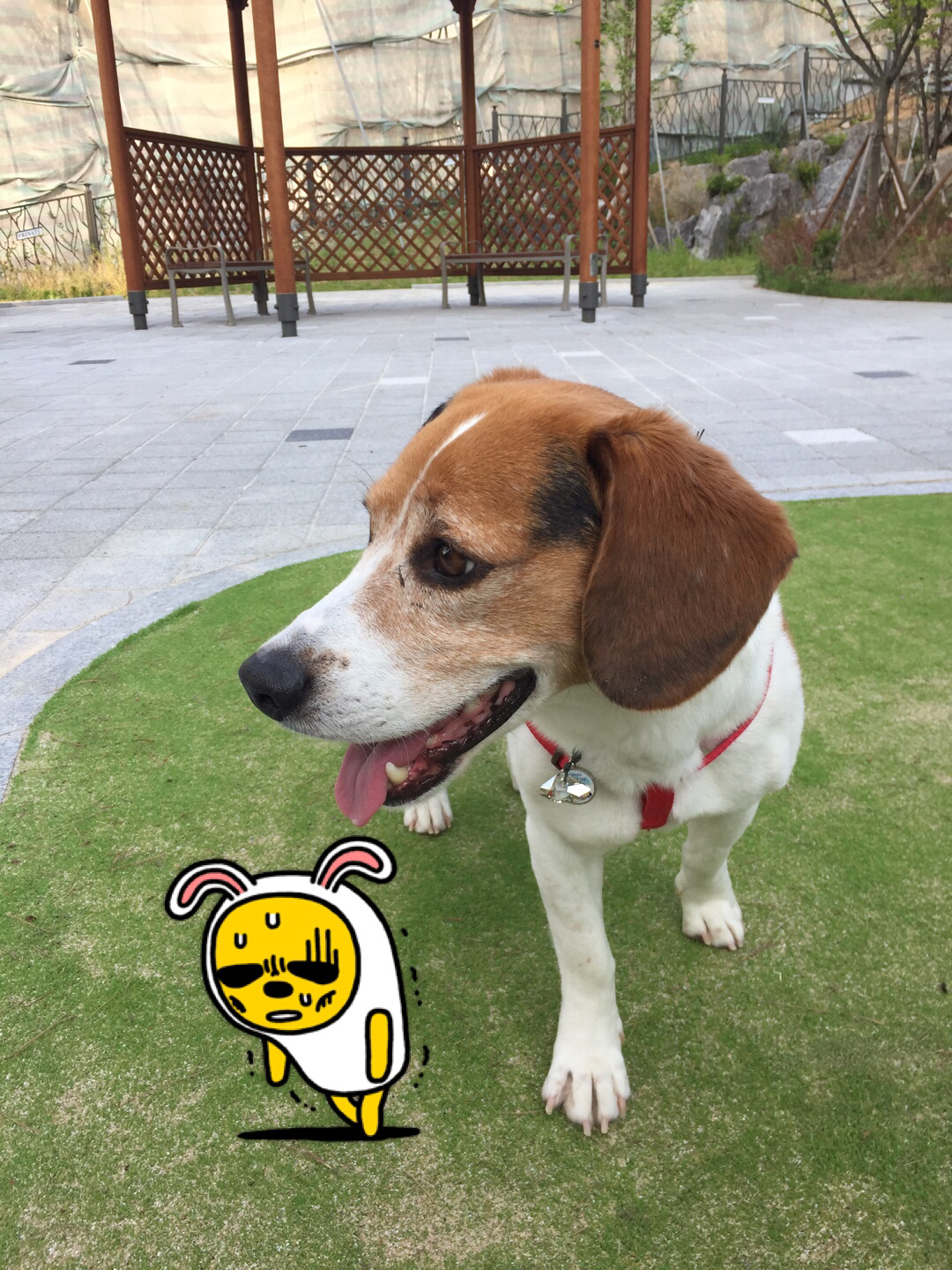 우버 두번째 후기에요~~