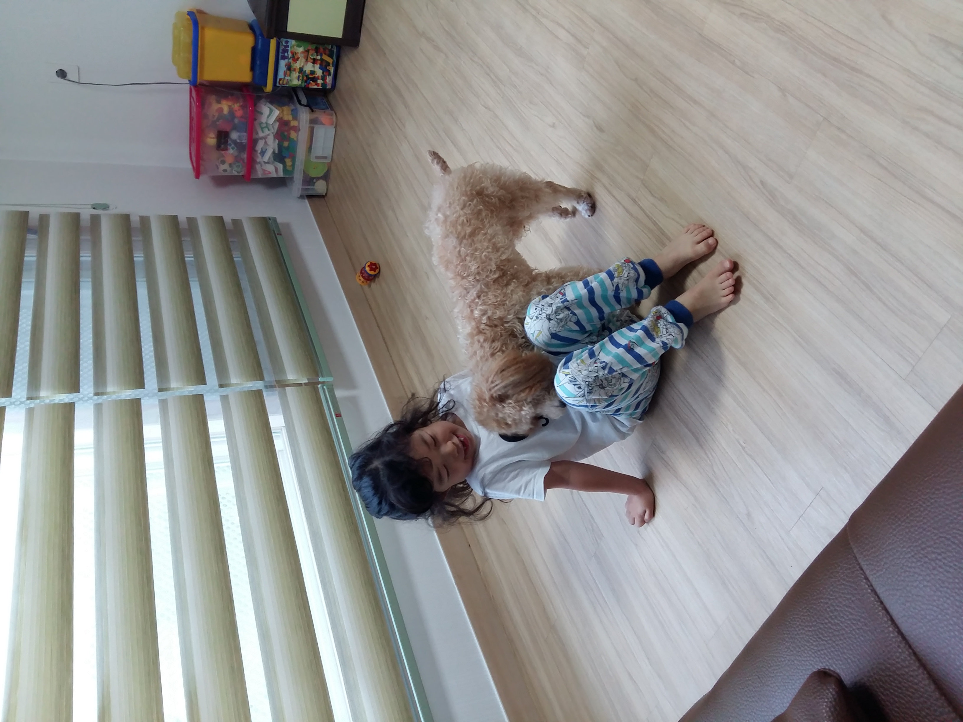 승지 두번째 입양 후기 입니다 