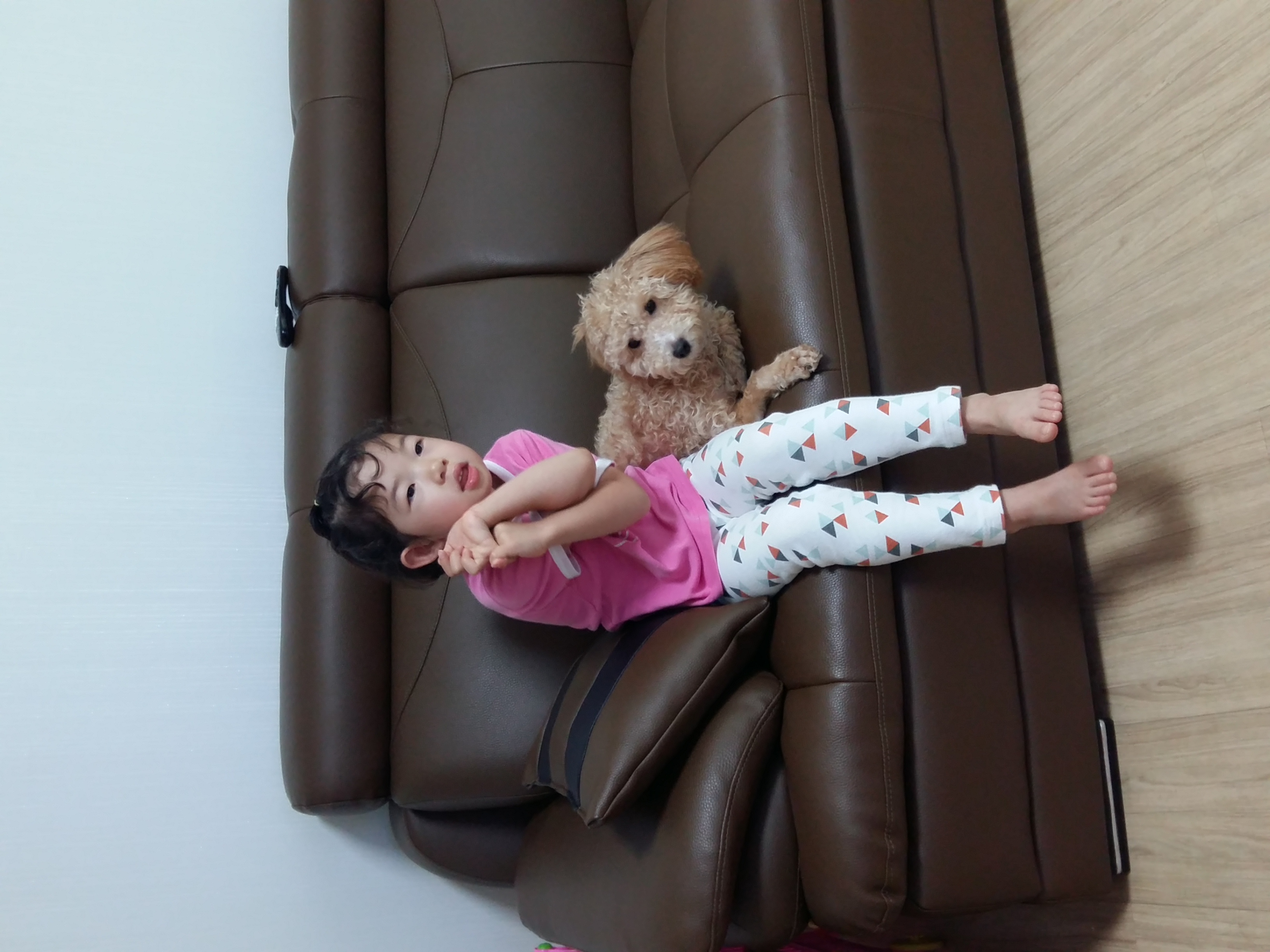 승지 두번째 입양 후기 입니다 