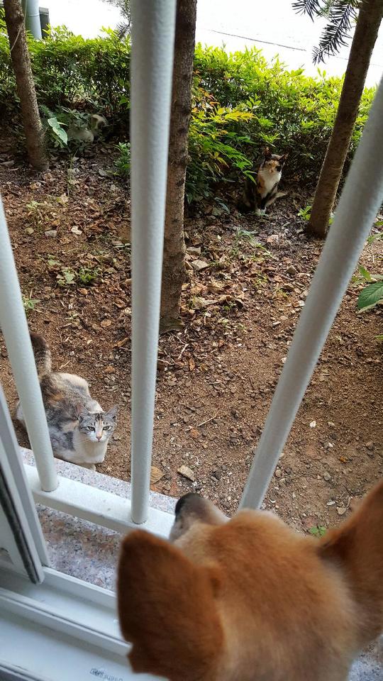 5년... 공주 근황