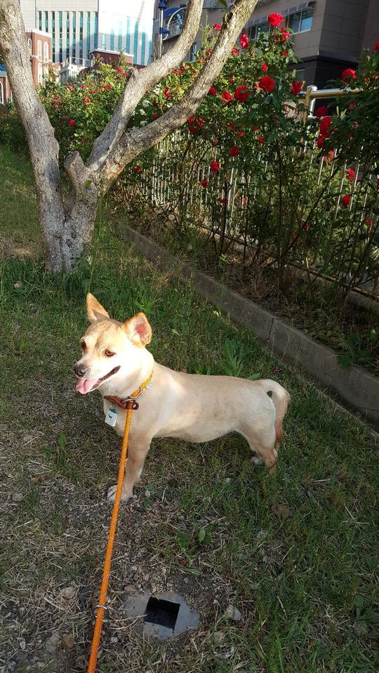 5년... 공주 근황