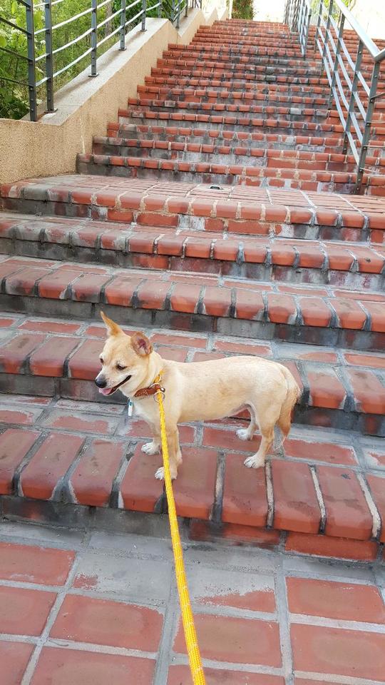 5년... 공주 근황