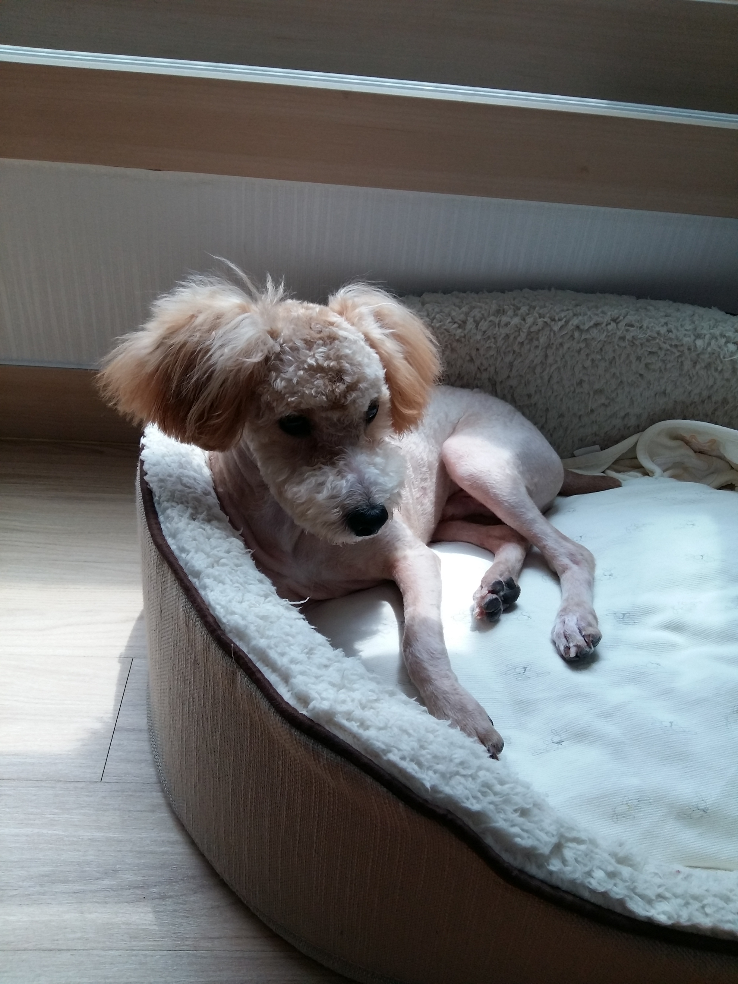 승지(토토)세번째 이야기